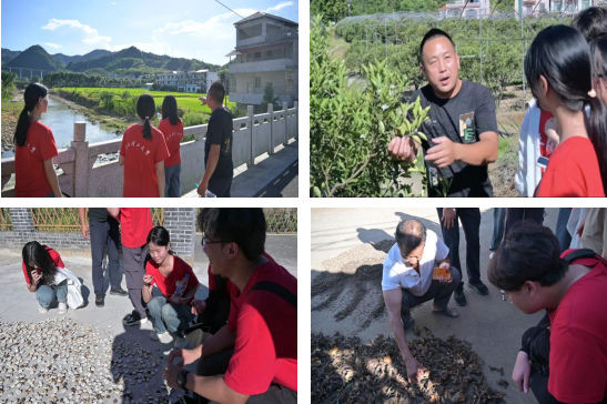 免费成人网
:深入走访调研 青春力量助力乡村振兴_fororder_图片6