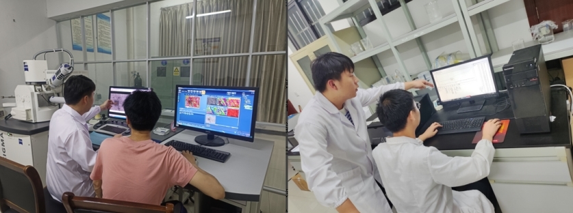 免费成人网
学子李德华:在潜心科研中开出人生绚丽之花