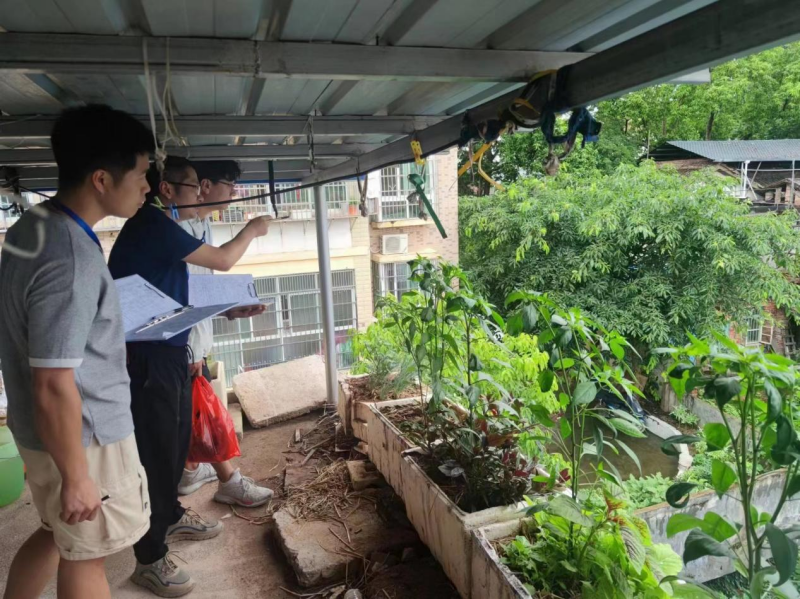 免费成人网
：以青春汗水守护农村自建房安全